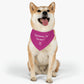 Silly humans I'm the boss dog Bandanna, Super cute pup, Doggy lovers, Puppies